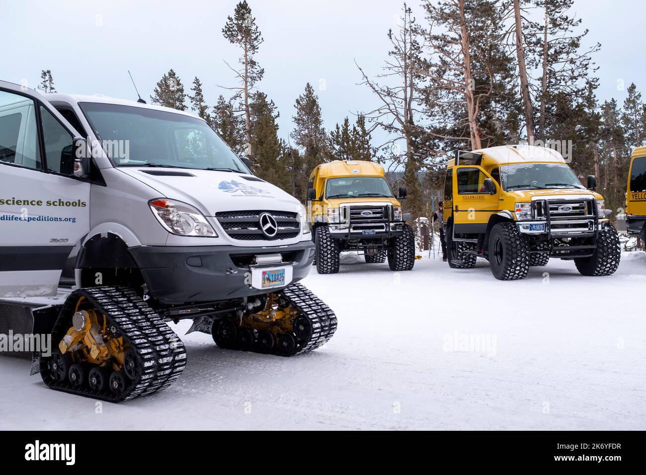 WY05122-00....Wyoming - Winter transport vehicle in Yellowstone National Park. Stock Photo