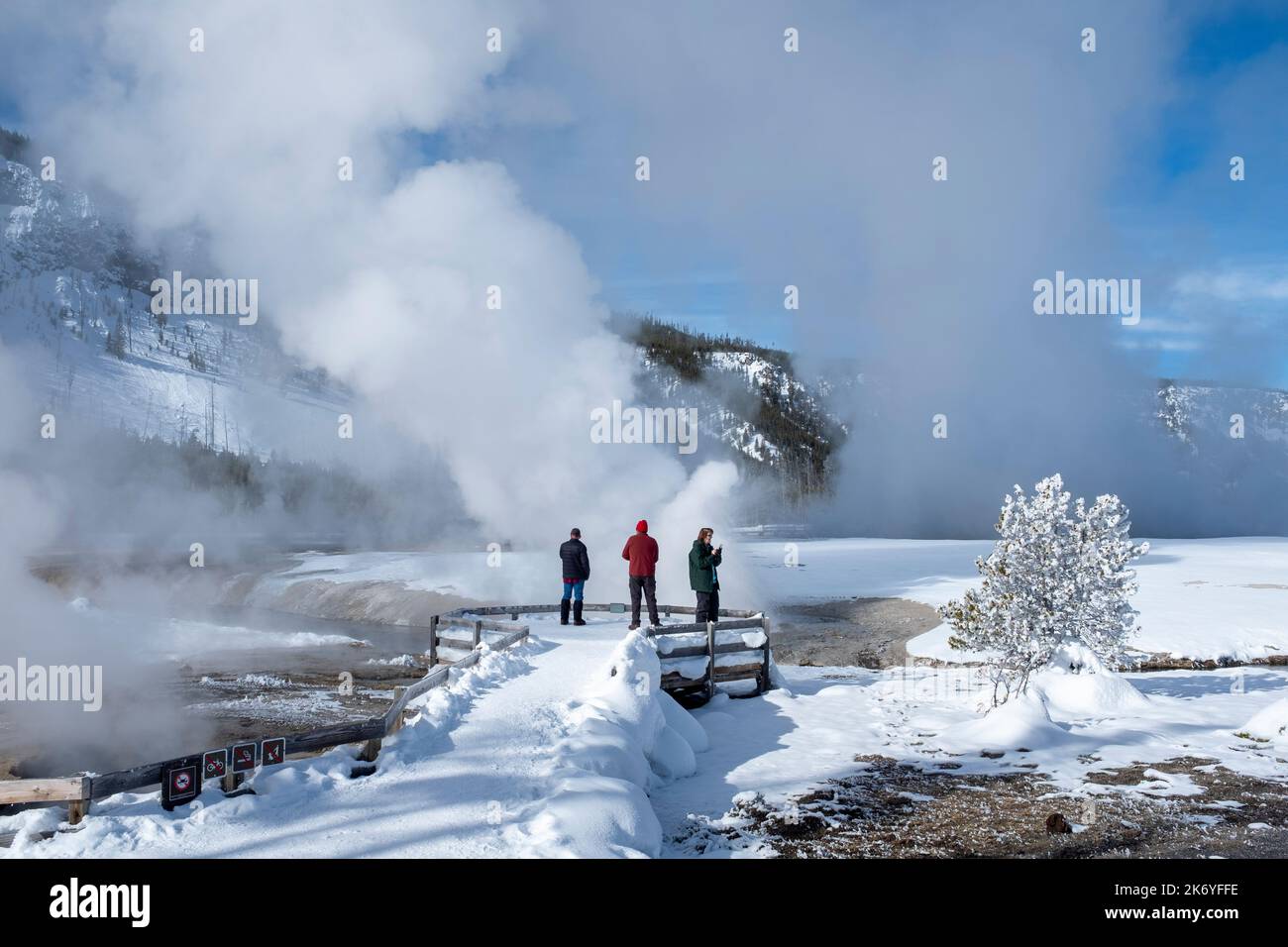 WY05125-00....Wyoming - Frosted trees and viewing platform  along the Firehole River, Biscuit Basin, in Yellowstone National Park. Stock Photo
