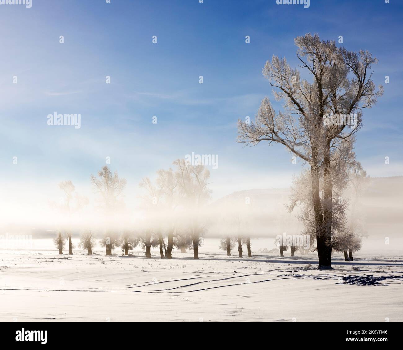Lamar valley hi-res stock photography and images - Alamy