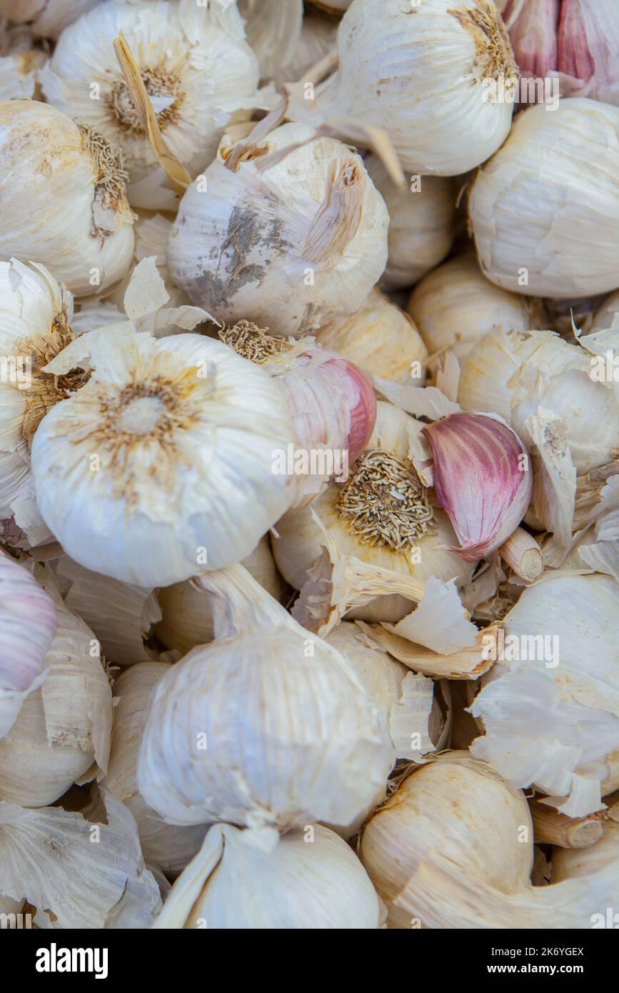 Spanish pink garlic bulbs. Displayed at street market stall Stock Photo