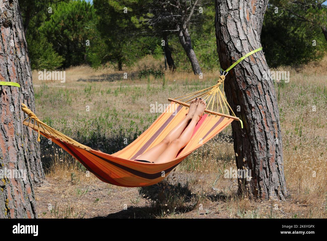 Bed hanging between two trees sale