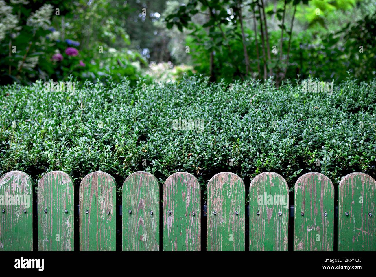 Weathered green wooden fence hi-res stock photography and images - Alamy