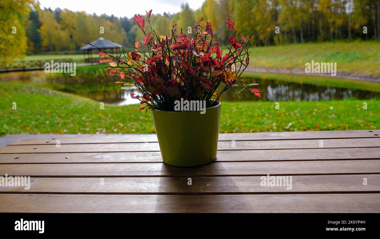 Orange and red leaves of a blueberry bush in a decorative container