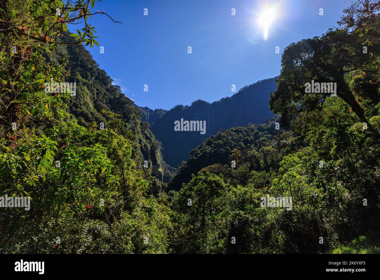 Dense Forrest and a waterfall at the vulcano Tungurahua in the Andes of Ecuador. Stock Photo