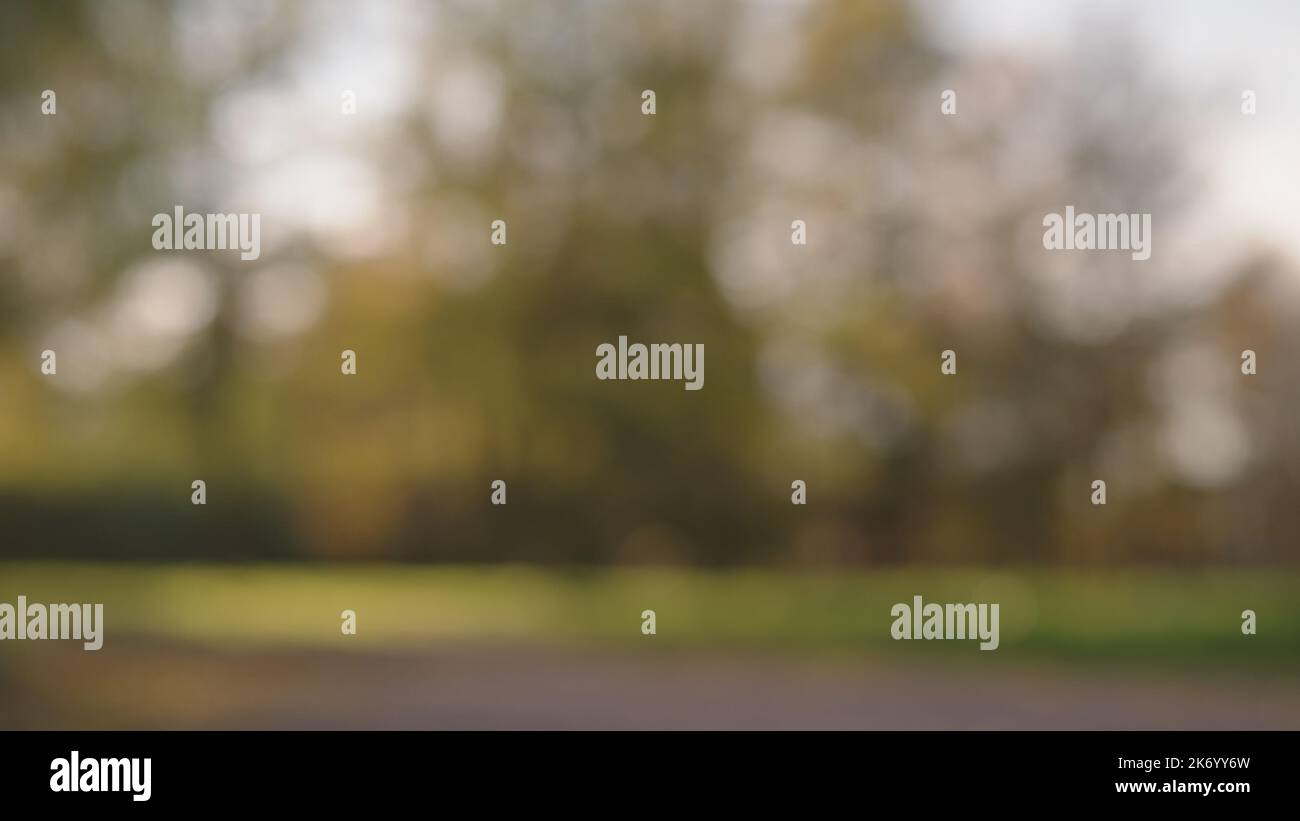 Blurred background of green park with sun light, wide photo Stock Photo ...