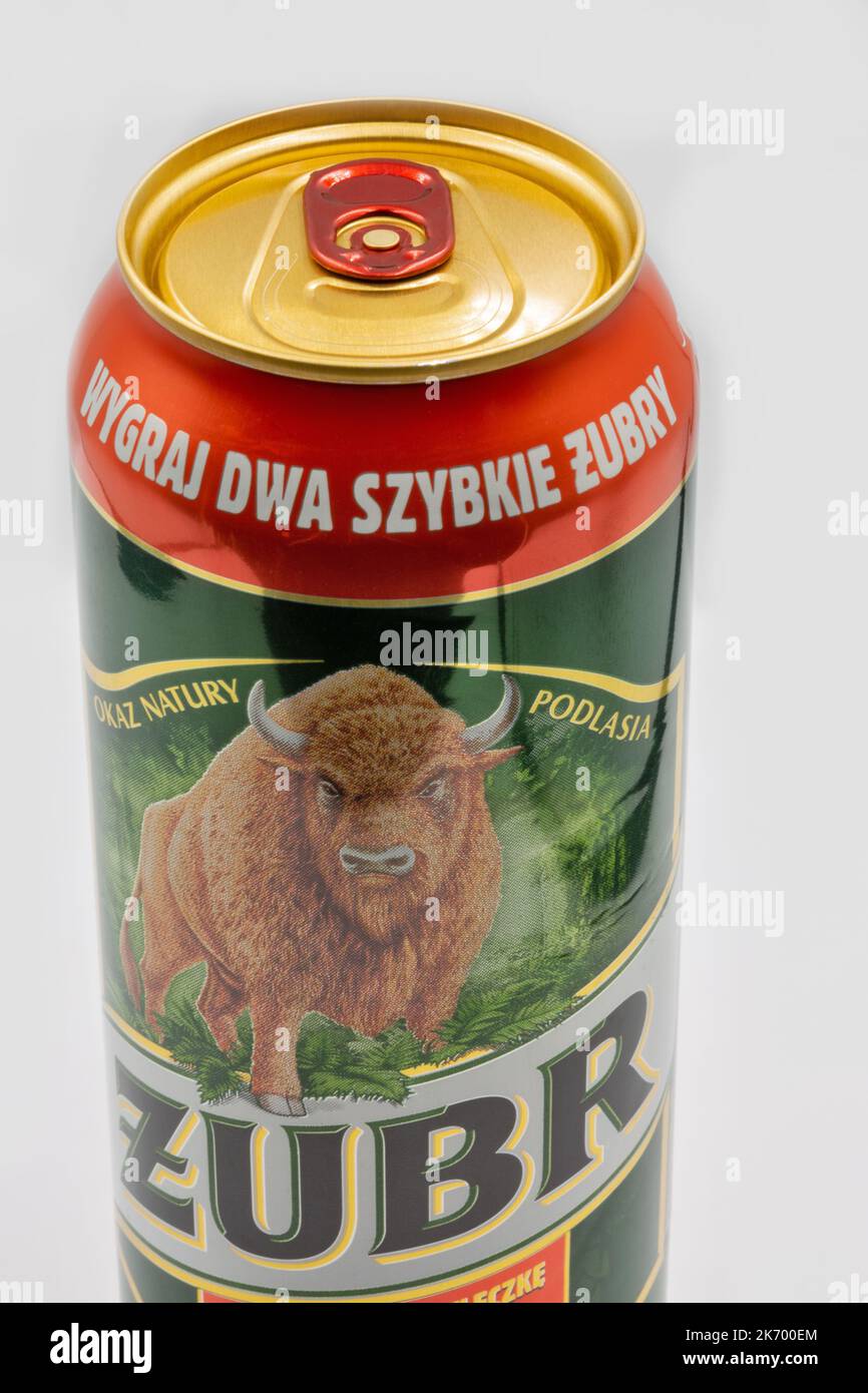 Kyiv, Ukraine - June 01, 2022: Studio shoot of Zubr Polish lager beer can closeup on white. Beer is brewed by Kompania Piwowarska SA. Zubr since the D Stock Photo
