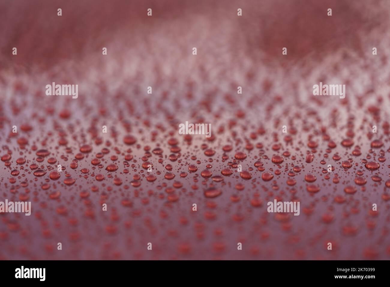 Water drops on a hydrophobic car paint surface, shallow focus Stock Photo Alamy