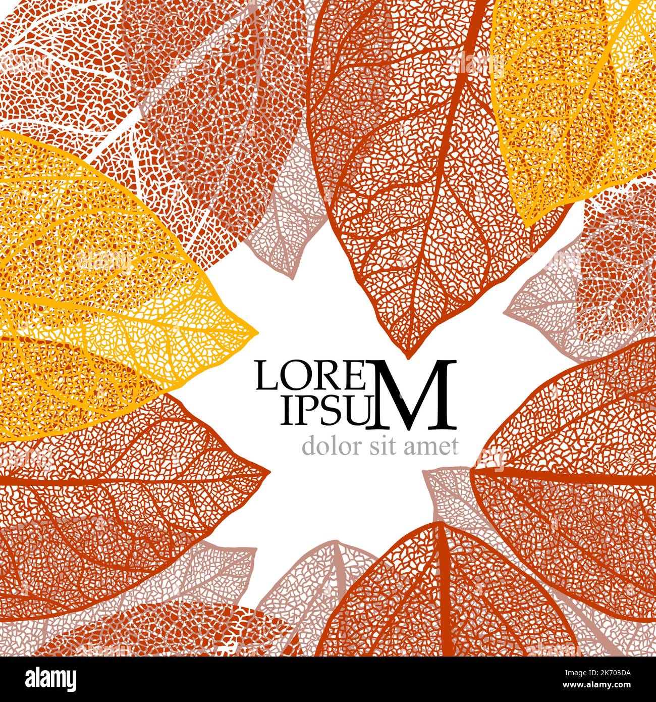 Frame with skeletonized leaves. Vector illustration Stock Vector