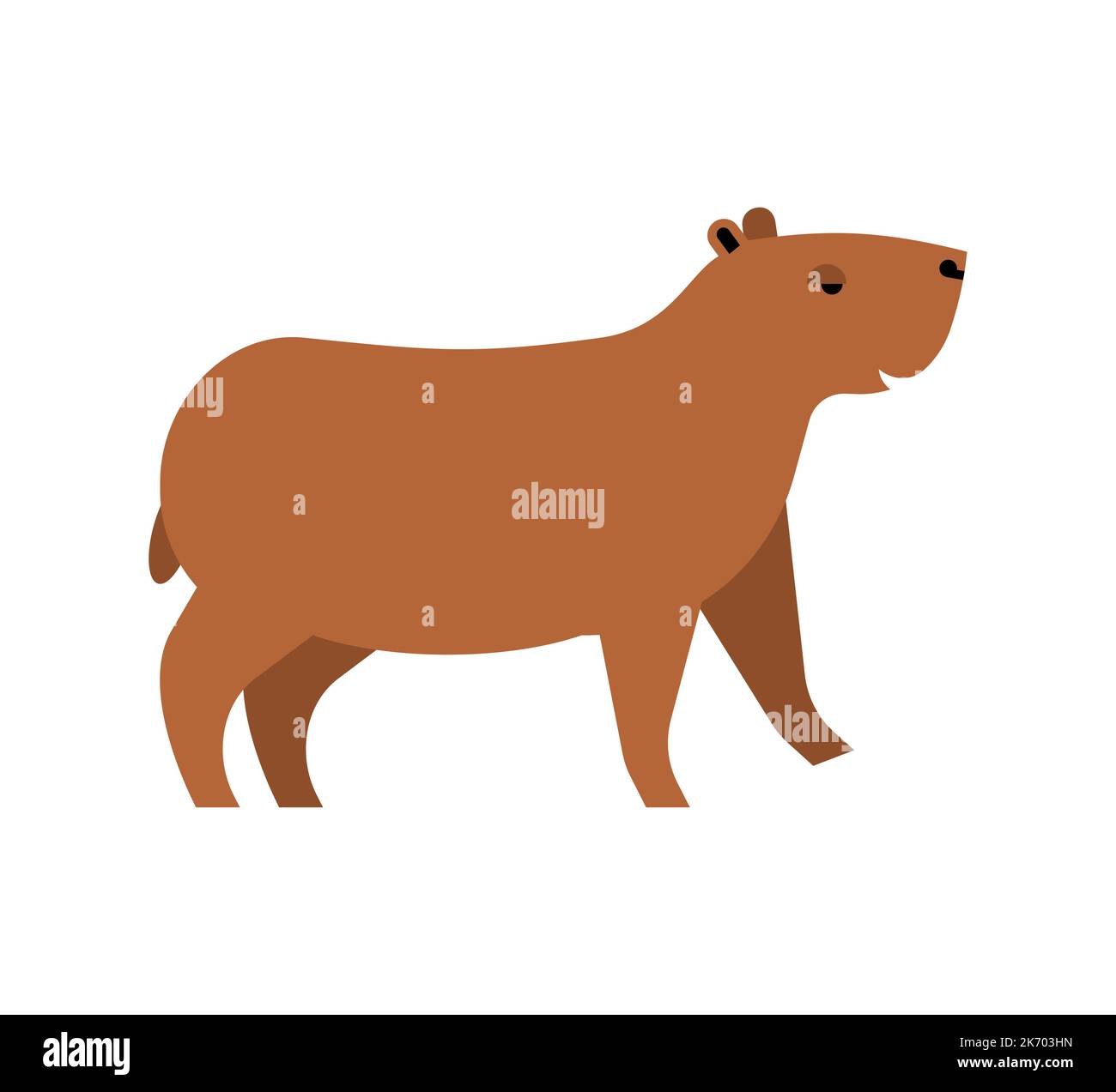 Capybara isolated. guinea pig Vector illustration Stock Vector