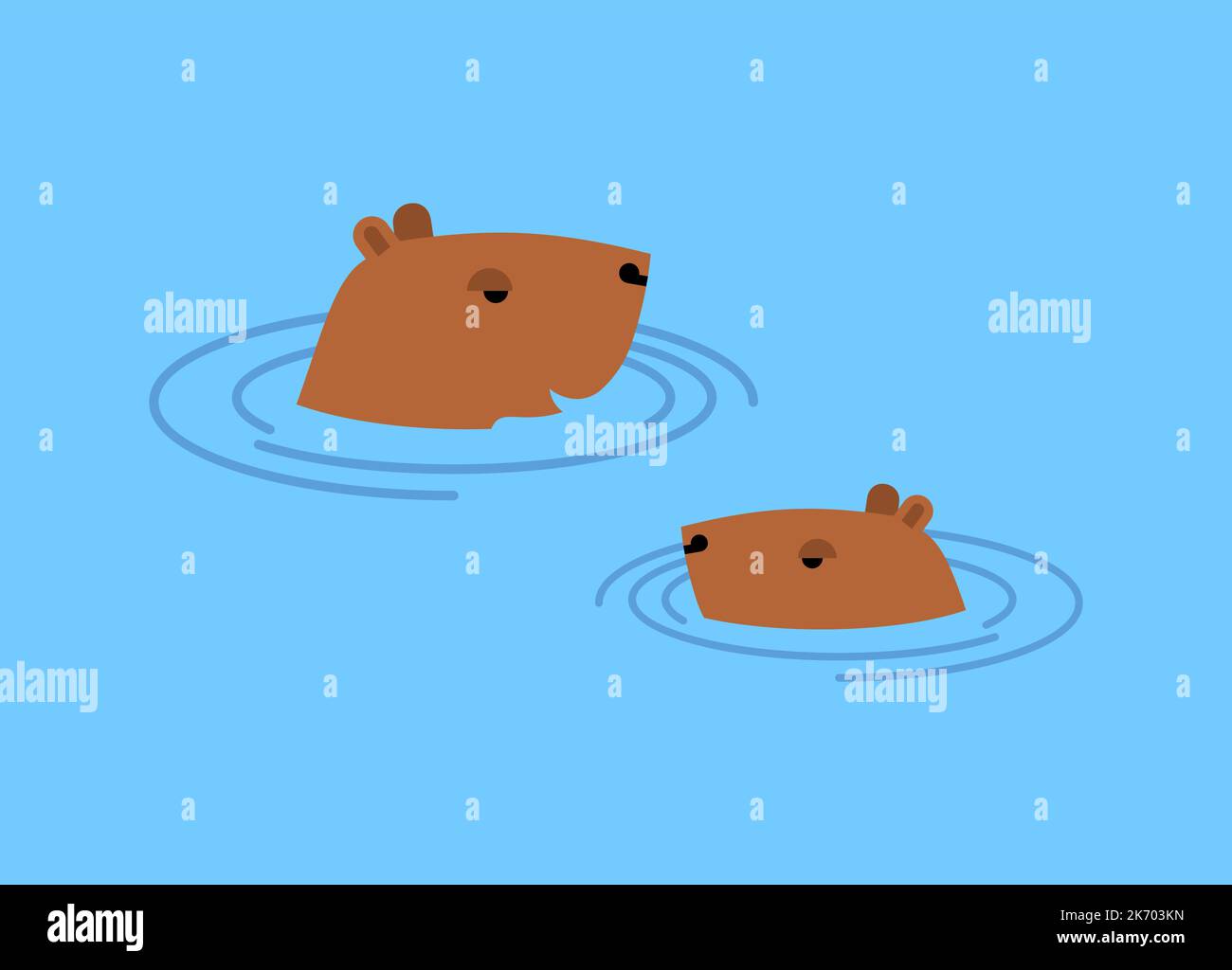 Capybara in water. guinea pig swims. Vector illustration Stock Vector