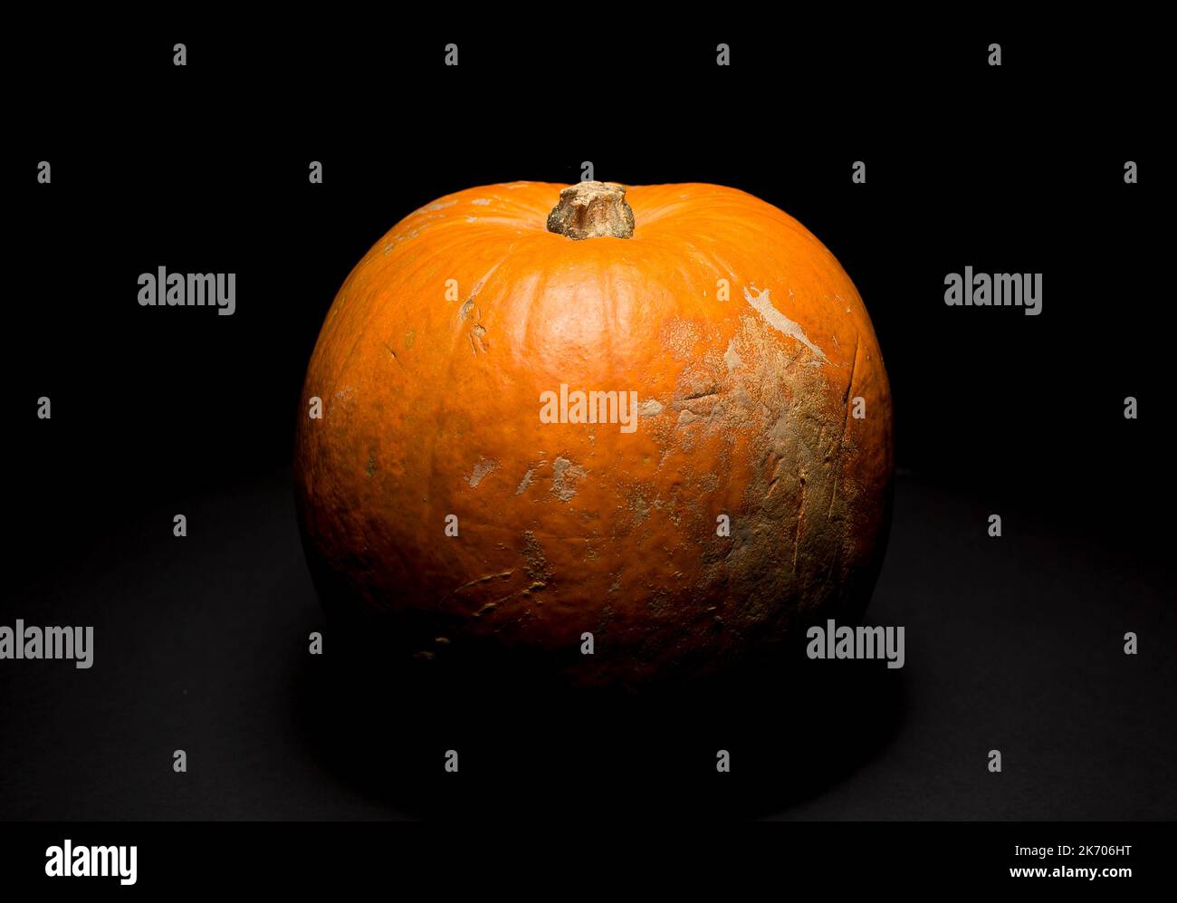 A pumpkin in a dark room, studio light used. Stock Photo