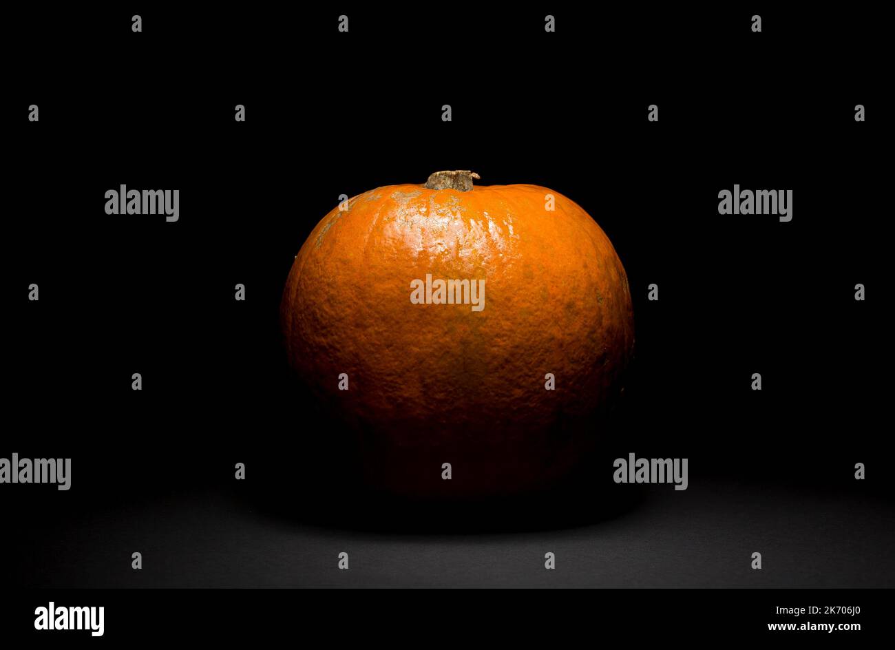 A pumpkin in a dark room, studio light used. Stock Photo