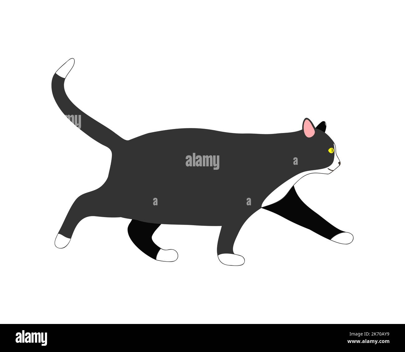 Black Round Fluffy Kitten Icon. Face Head Body, Tail. Cat Fat