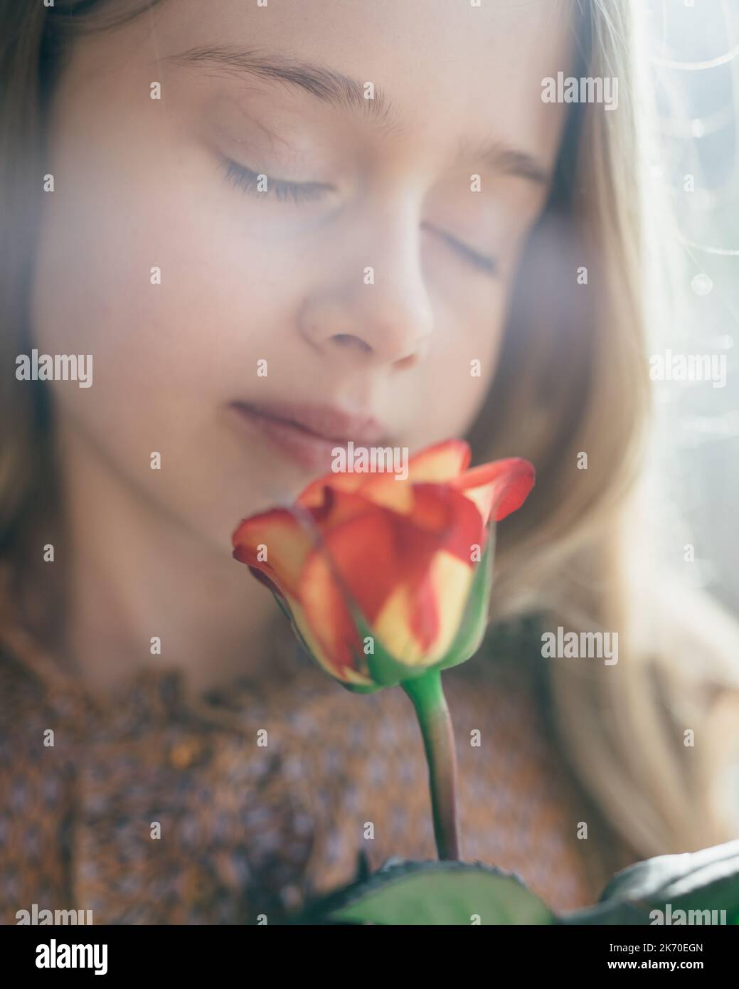 Young girl smelling red rose. Stock Photo
