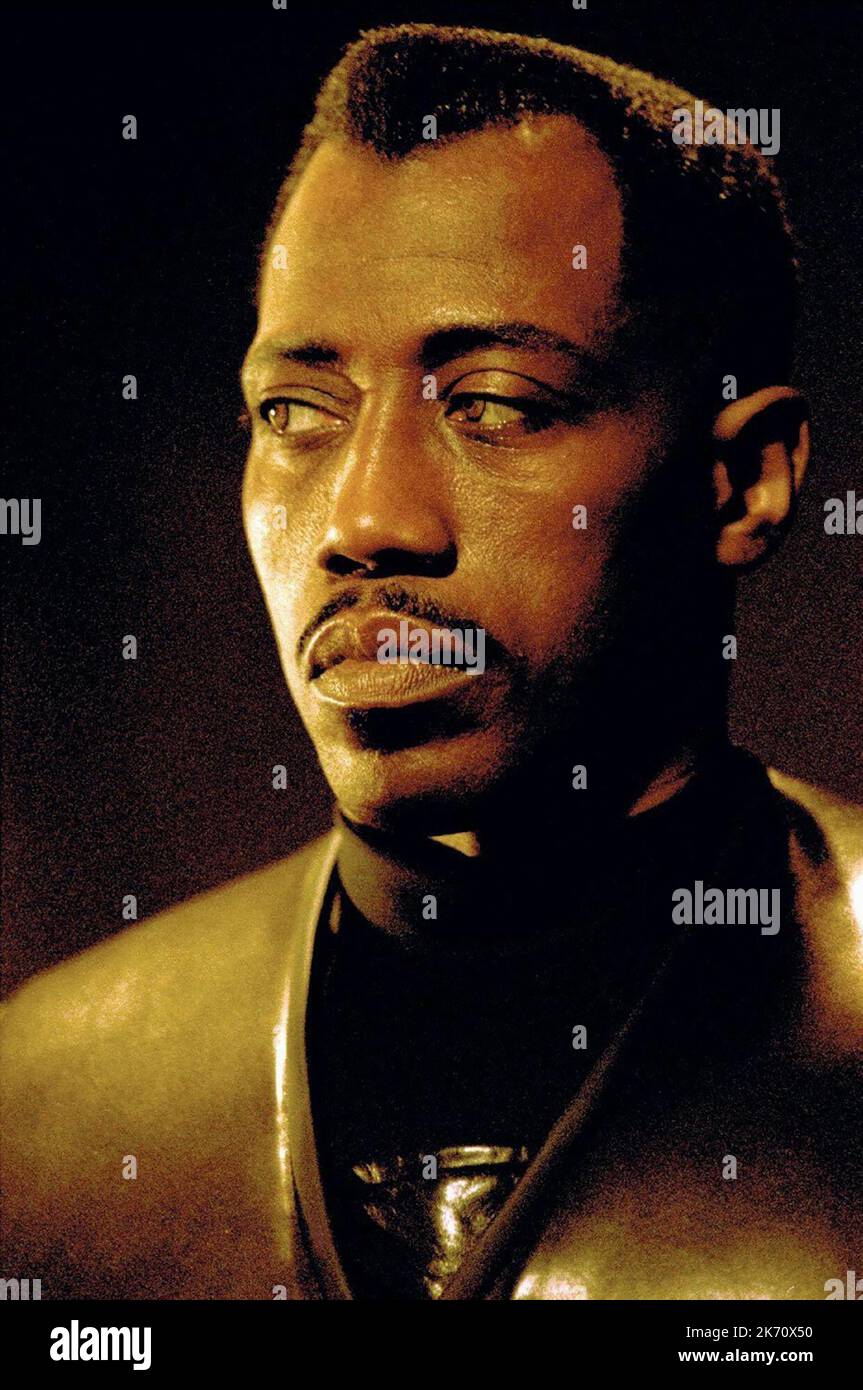 Wesley Snipes Film Blade Ii; Blade 2 (USA/DE 2002) Characters Blade