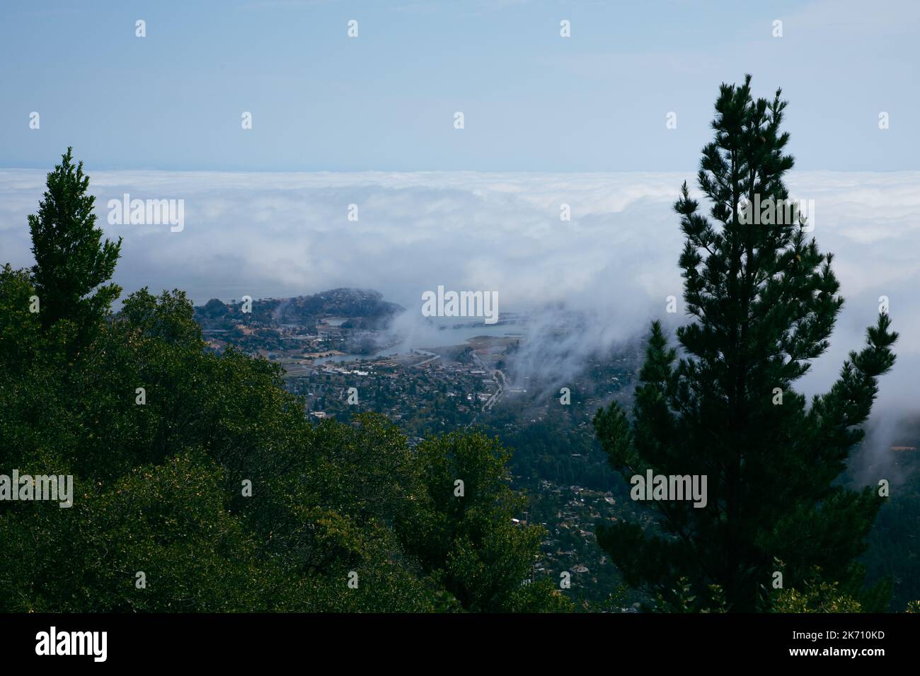 Summer fog obscures San Francisco in this view from the slopes of Mt. Tamalpais Stock Photo