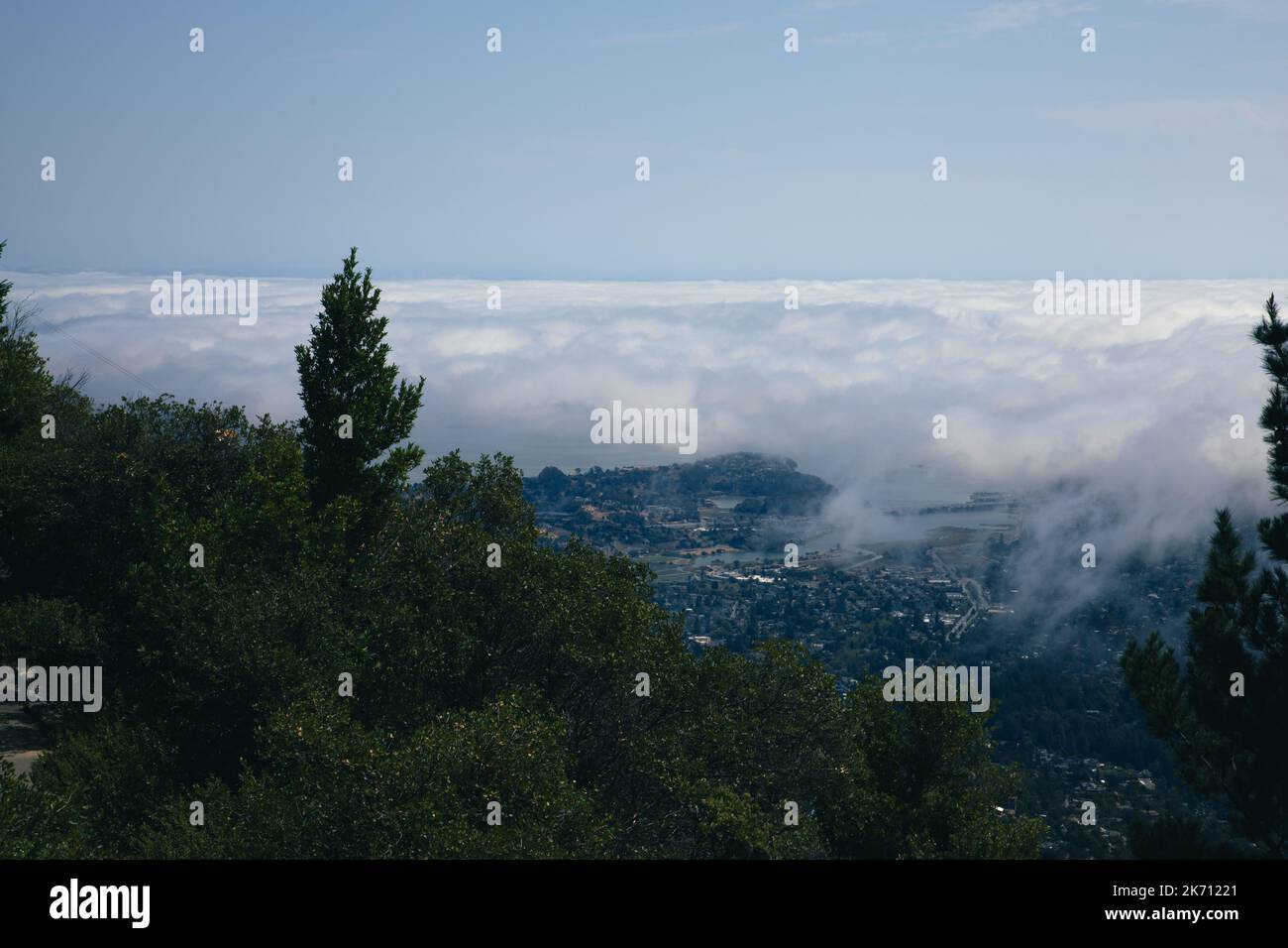 Summer fog obscures San Francisco in this view from the slopes of Mt. Tamalpais Stock Photo