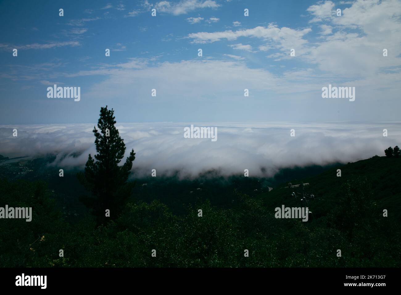 Summer fog obscures San Francisco in this view from the slopes of Mt. Tamalpais Stock Photo