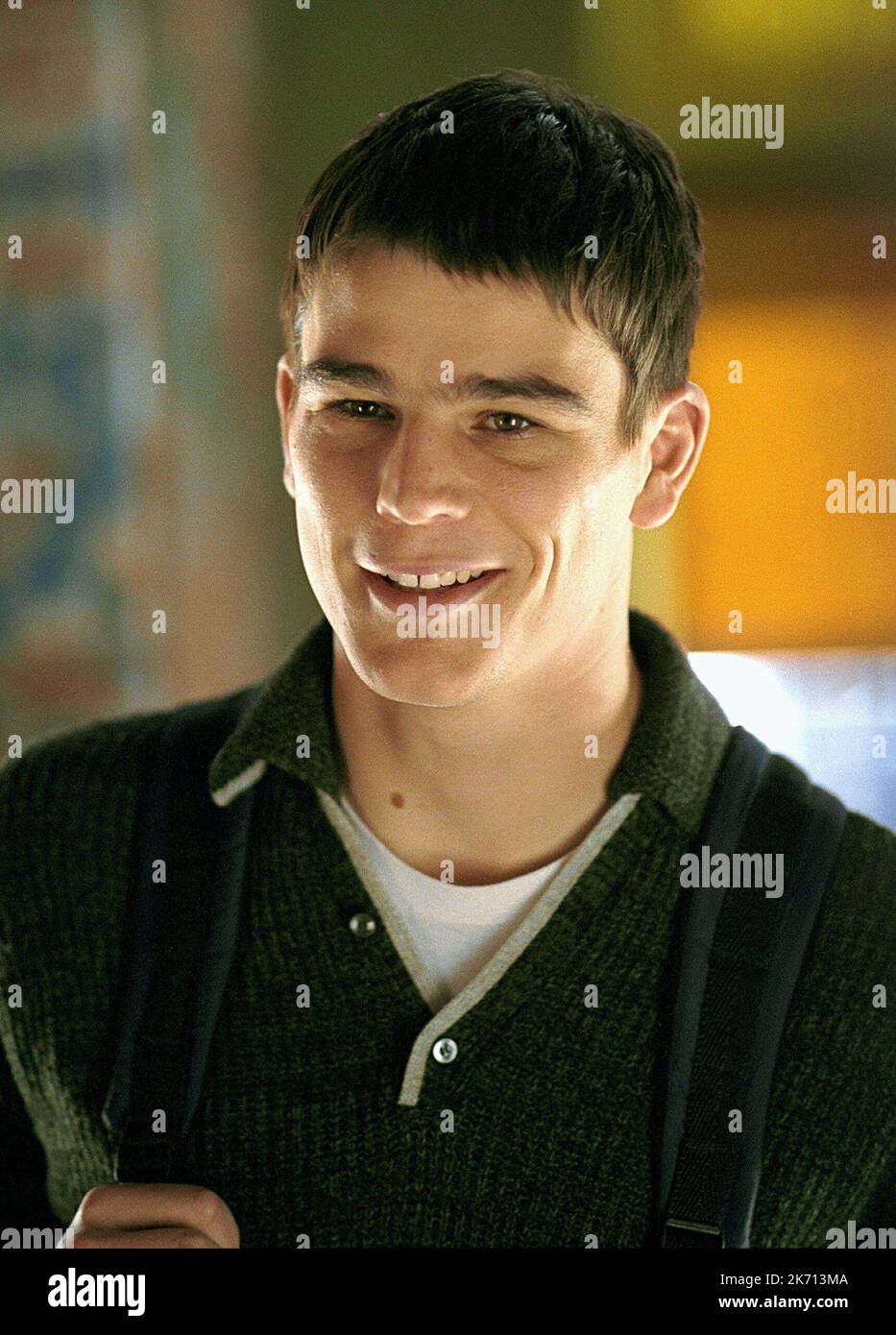 JOSH HARTNETT 40 DAYS AND 40 NIGHTS 2002 Stock Photo Alamy