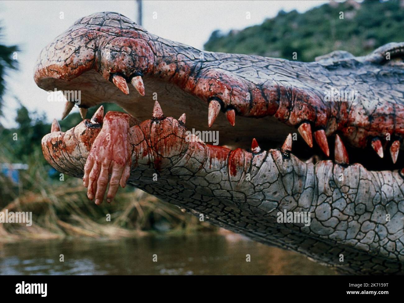 HAND IN CROCODILE JAWS, CROCODILE 2: DEATH SWAMP, 2002 Stock Photo