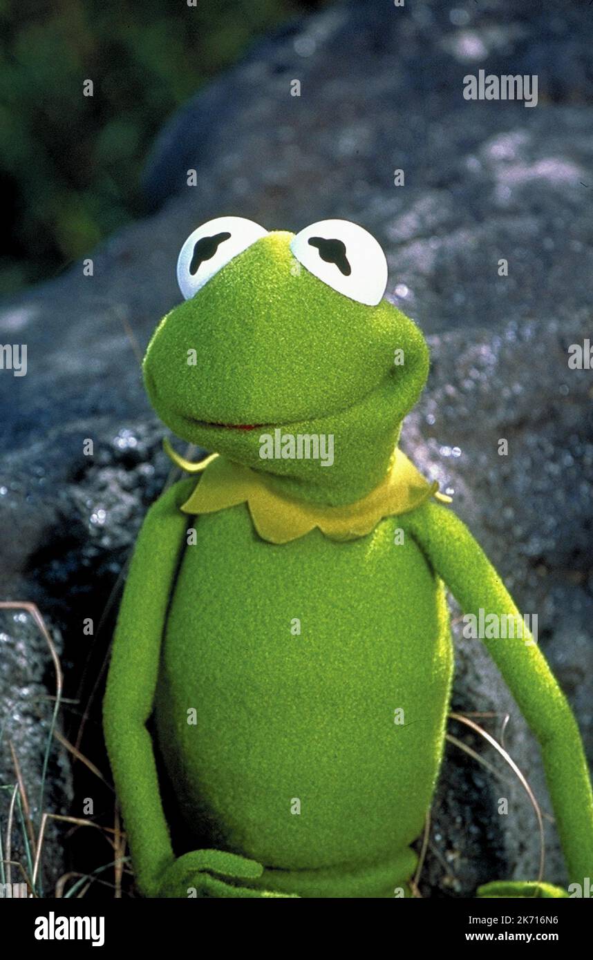 KERMIT, KERMIT'S SWAMP YEARS, 2002 Stock Photo Alamy