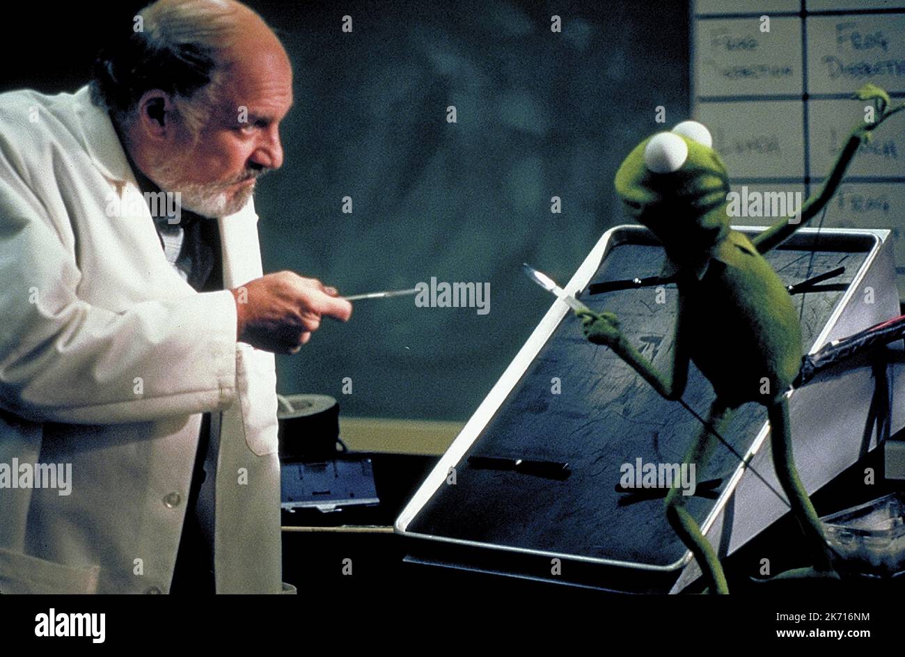 JOHN HOSTETTER, KERMIT, KERMIT'S SWAMP YEARS, 2002 Stock Photo - Alamy