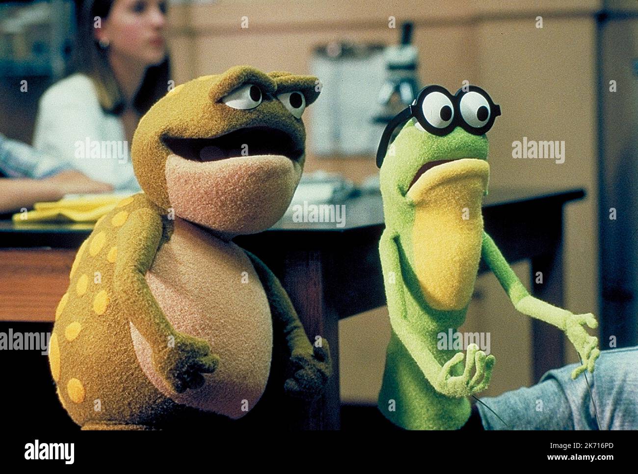 BLOTCH, GOGGLES, KERMIT'S SWAMP YEARS, 2002 Stock Photo Alamy