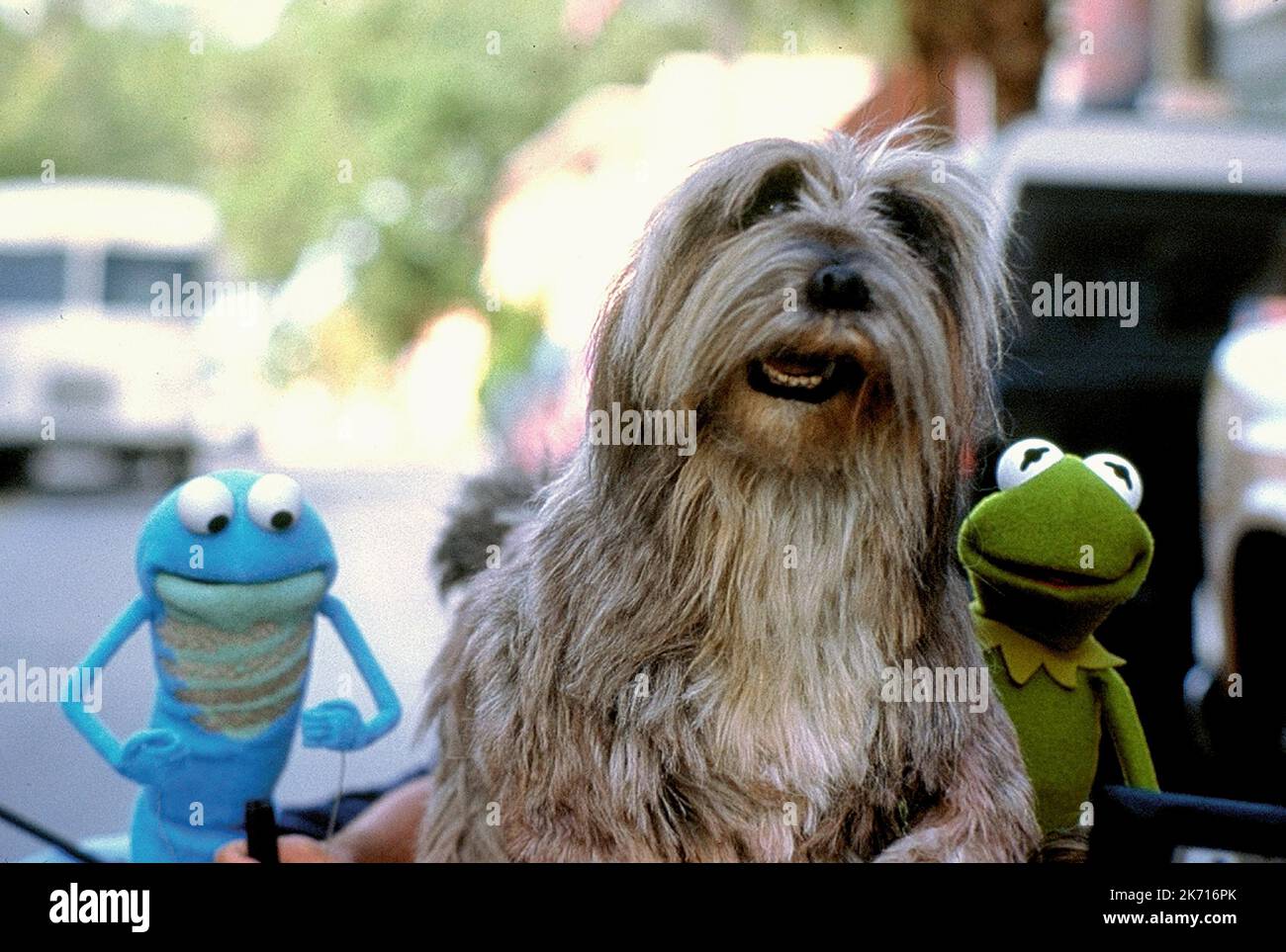 CROAKER,PILGRIM,KERMIT, KERMIT'S SWAMP YEARS, 2002 Stock Photo Alamy