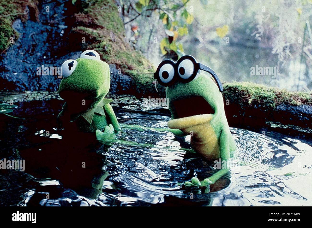 KERMIT,GOGGLES, KERMIT'S SWAMP YEARS, 2002 Stock Photo Alamy