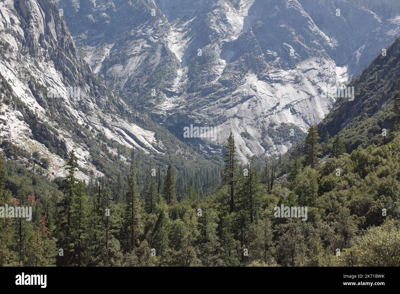 View of Kings Canyon, looking from Mist Falls trail. Stock Photo