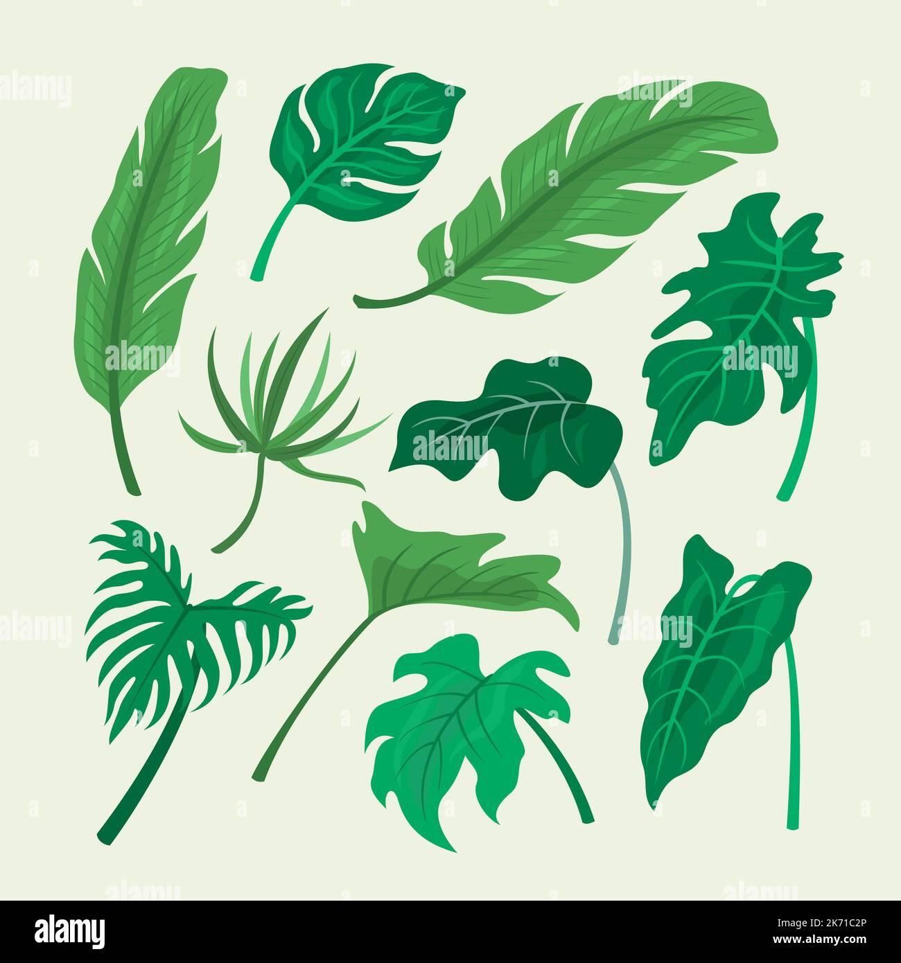 Hand Drawn Tropical Leaves Set Stock Vector