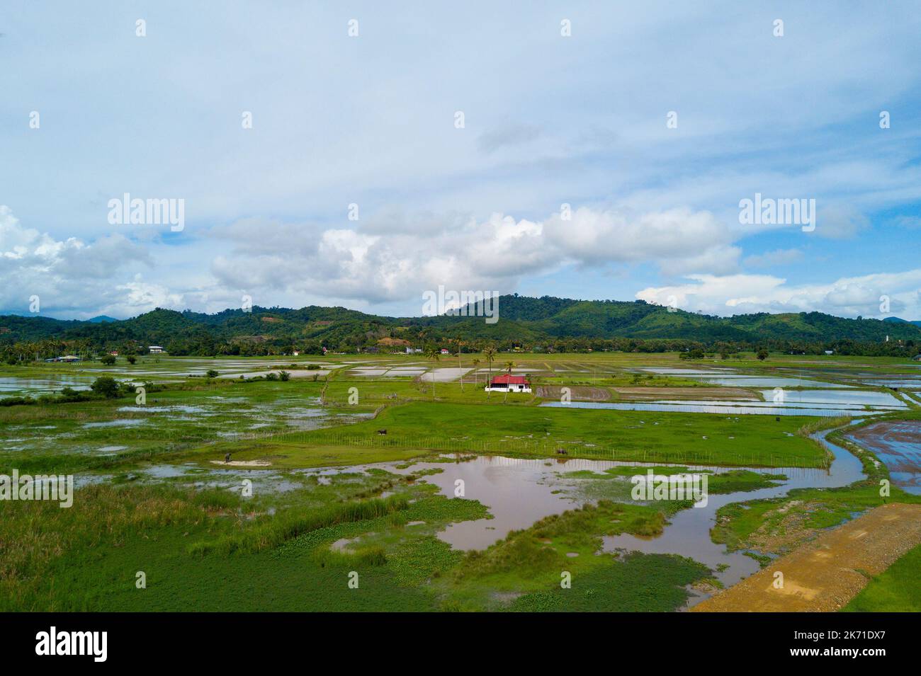 Arial view of beatiful green paddy field with blue sky at Langkawi