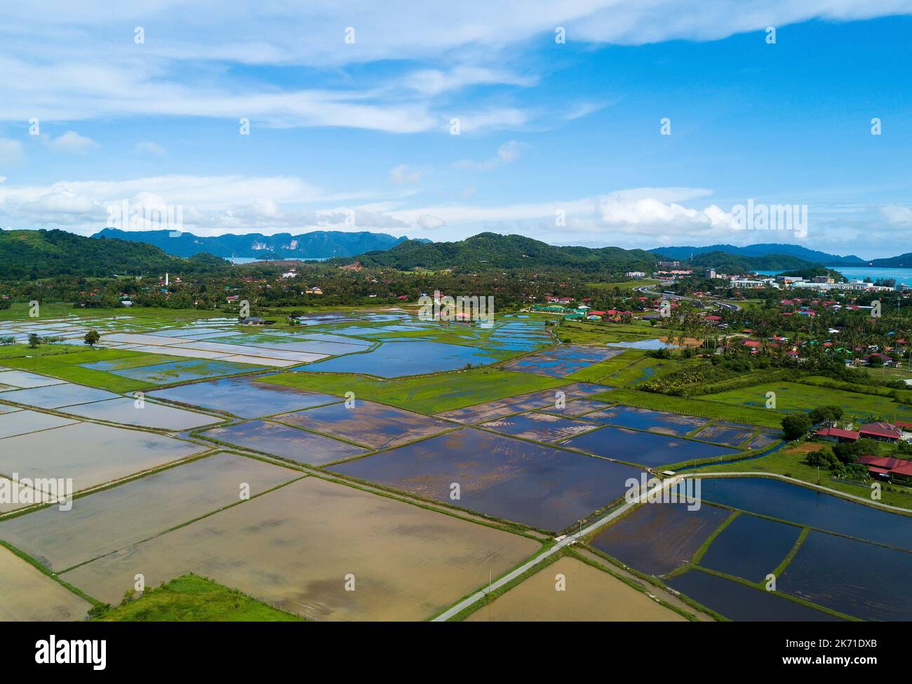 Arial view of beatiful green paddy field with blue sky at Langkawi