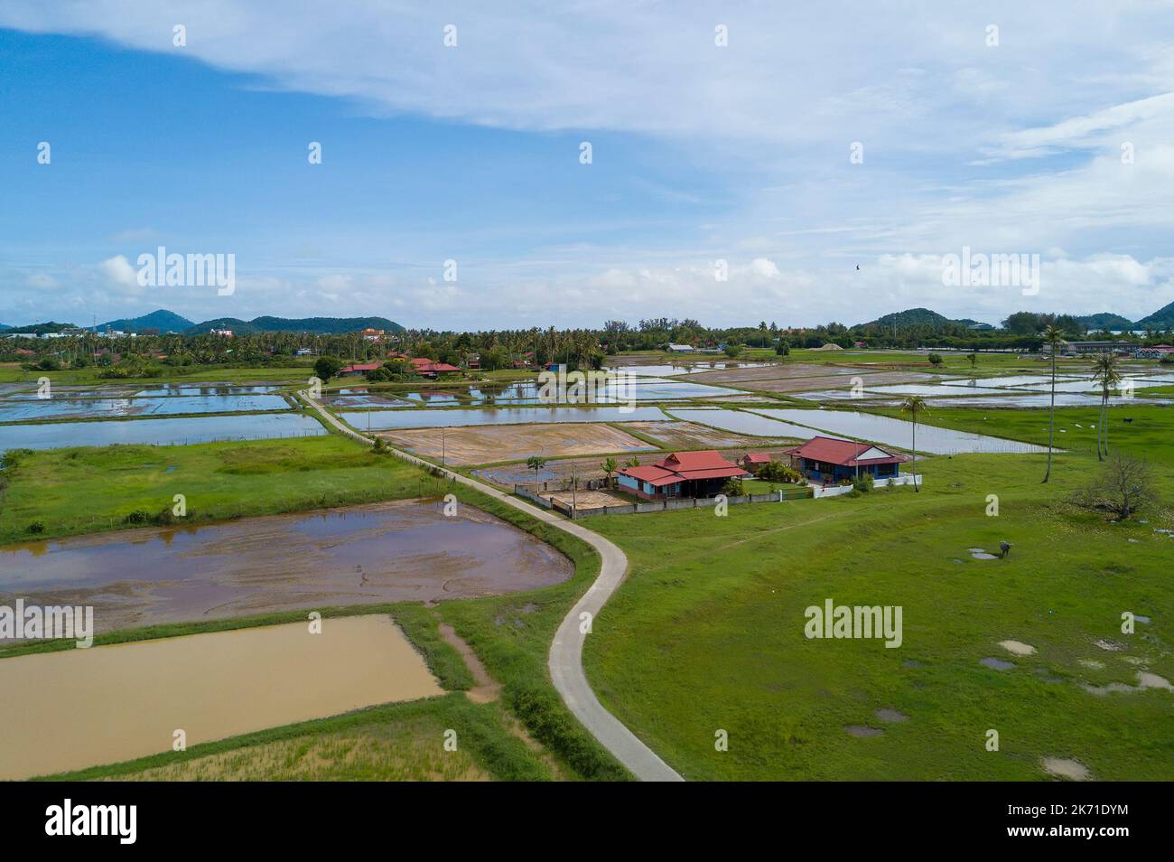 Arial view of beatiful green paddy field with blue sky at Langkawi