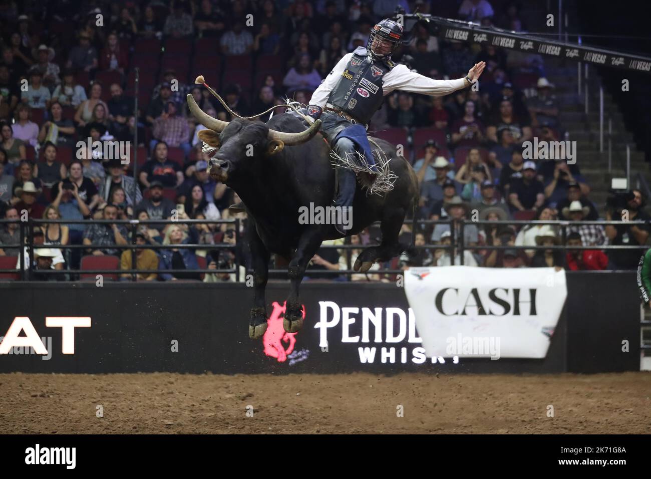 GLENDALE, AZ - OCTOBER 15: Rider Tate Pollmeier of the Oklahoma Freedom rides bull Blunt Force Trauma during the PBR Ridge Rider Days at the Desert Diamond Arena on October 15, 2022 in Glendale, AZ, United States.(Photo by Alejandro Salazar/PxImages) Credit: Px Images/Alamy Live News Stock Photo