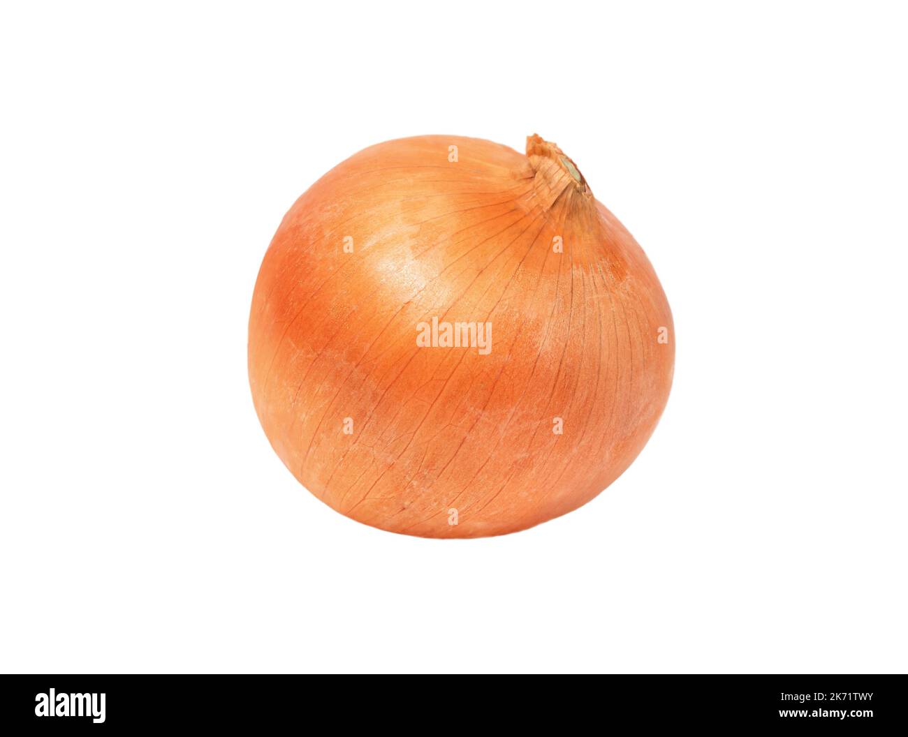 One fresh golden onion hi-res stock photography and images - Alamy