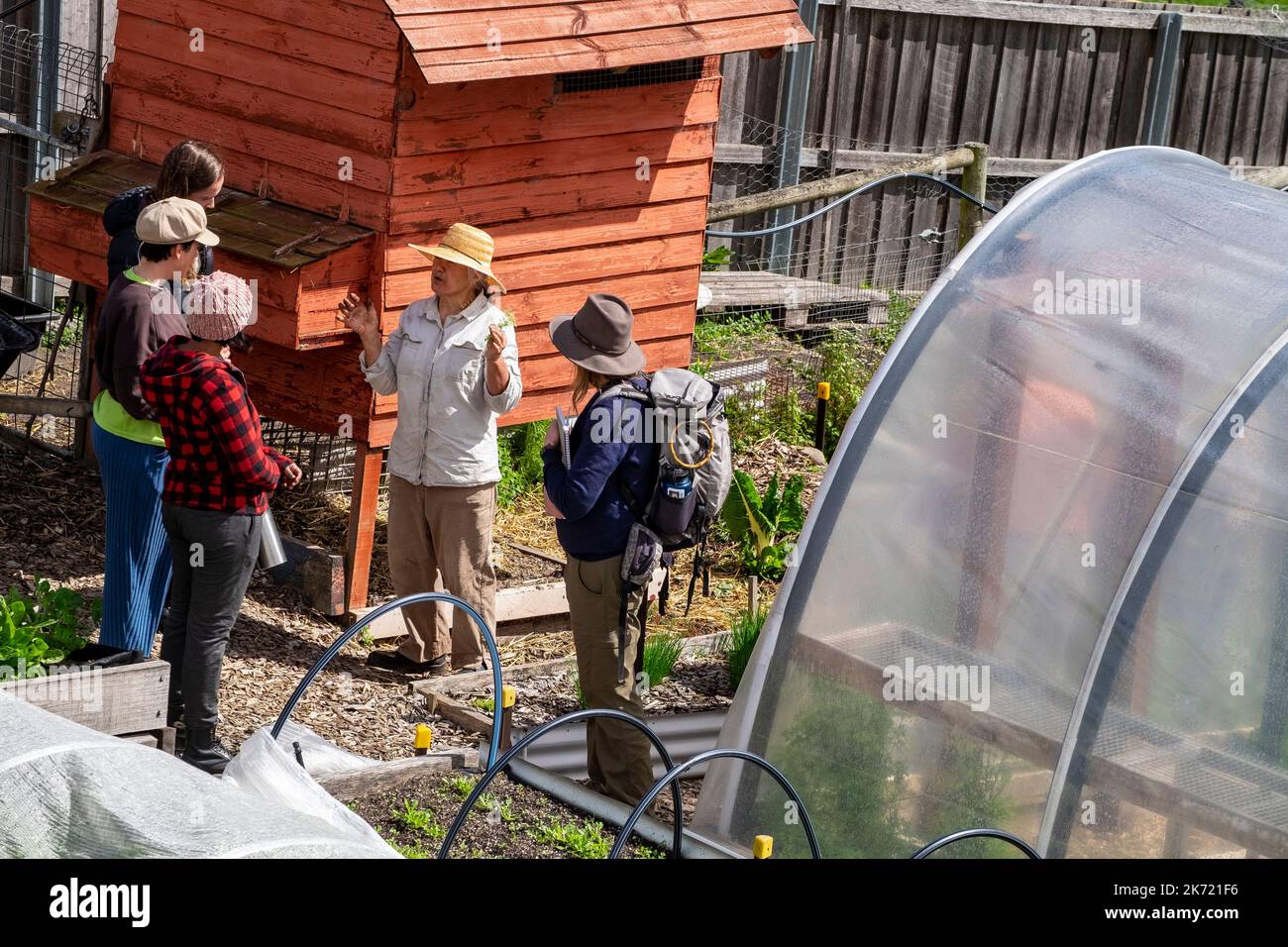 A group of permaculture students attending a composting workshop on a small urban farm in the suburbs of Hobart, Tasmania Stock Photo