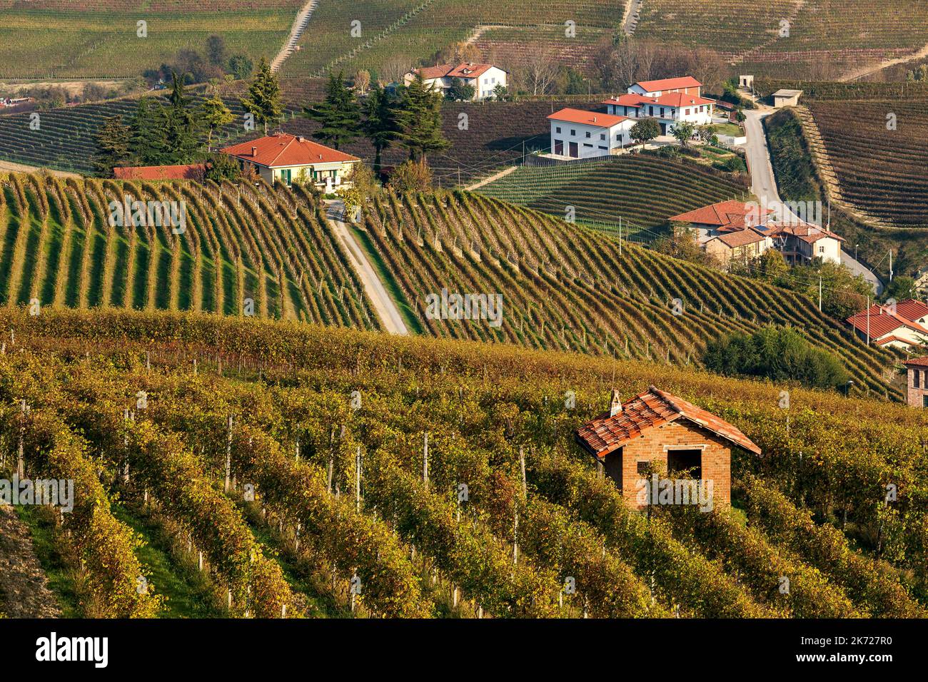 View of rural houses among colorful autumnal vineyards on the hills of Langhe in Piedmont, Northern Italy. Stock Photo