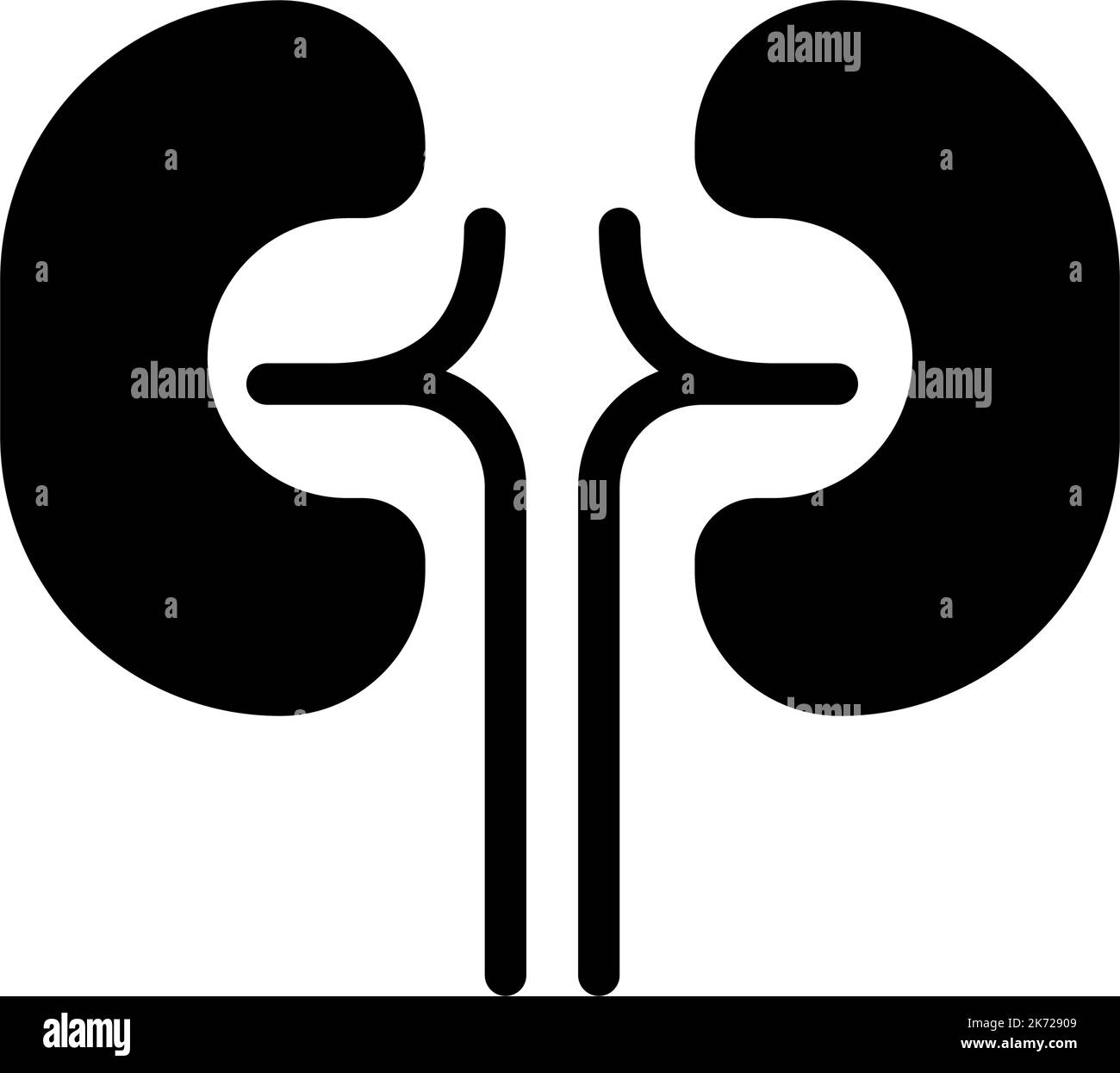 Urinary system anatomy Black and White Stock Photos & Images - Alamy