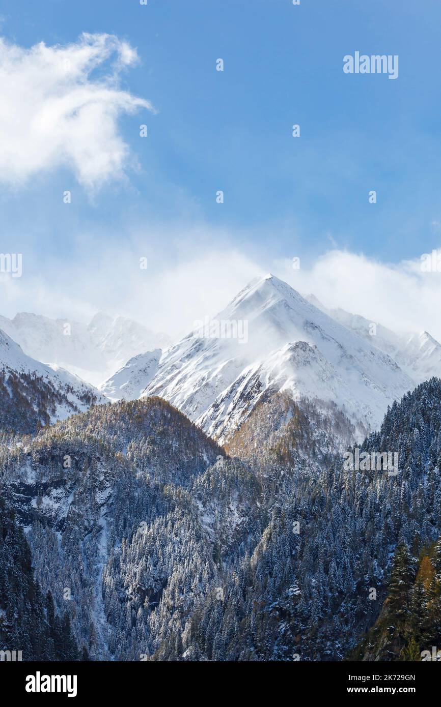 Snow capped mountain peak and a snowy forest Stock Photo - Alamy