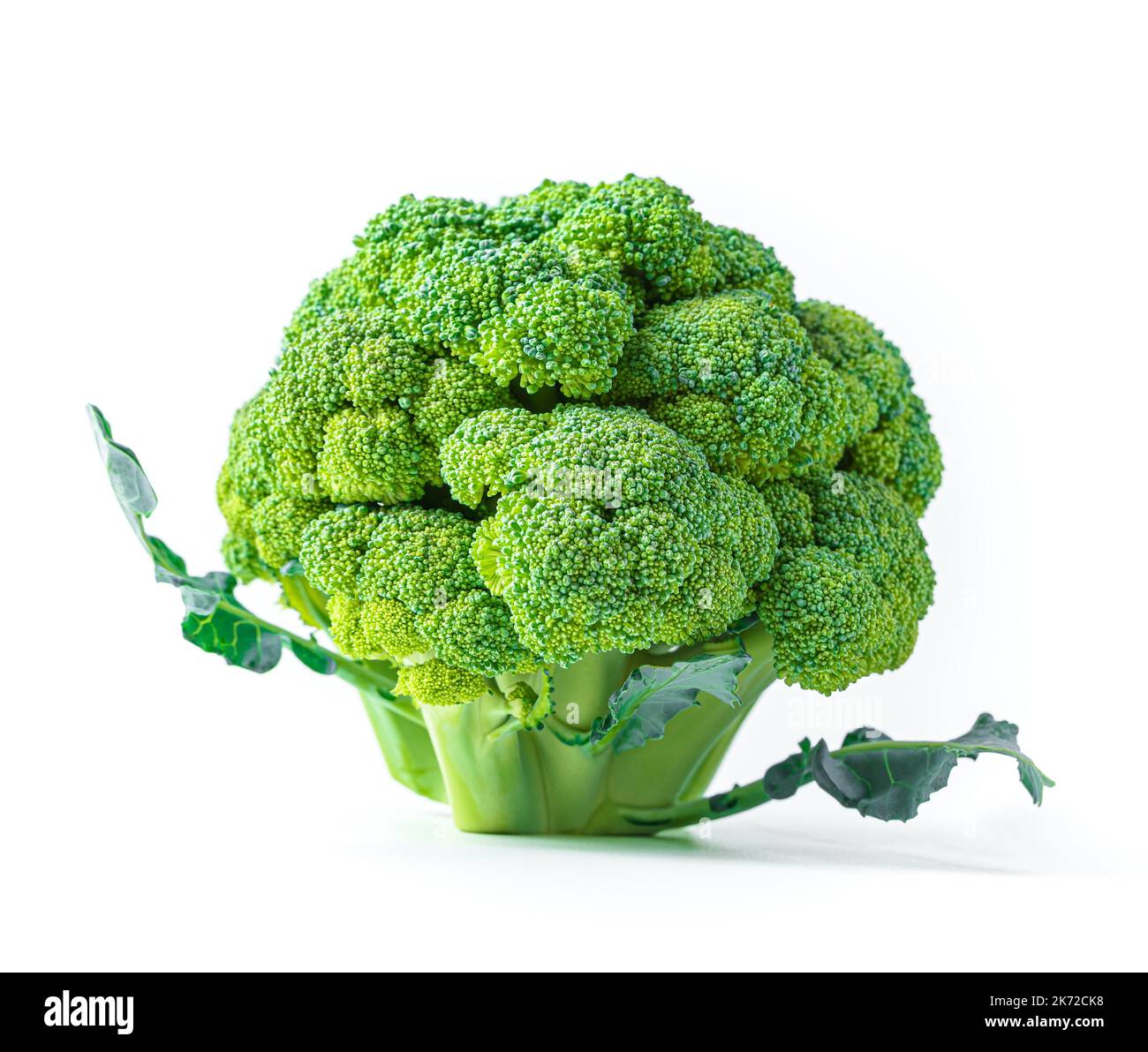 Broccoli inflorescence isolated on a white background. Stock Photo