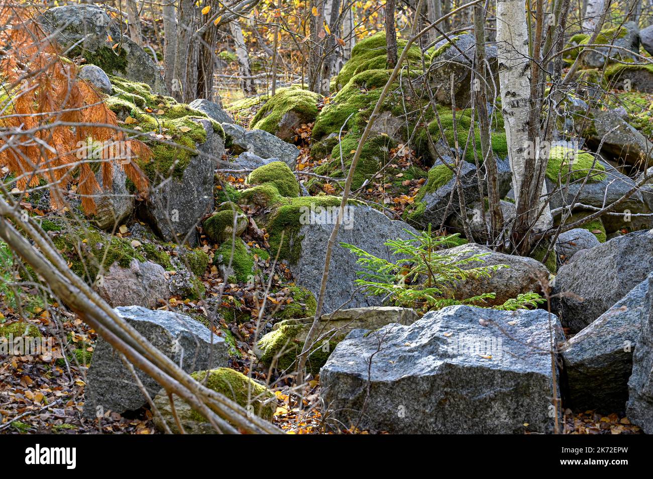 big gray rocks from old quarry in Kumla Sweden Stock Photo