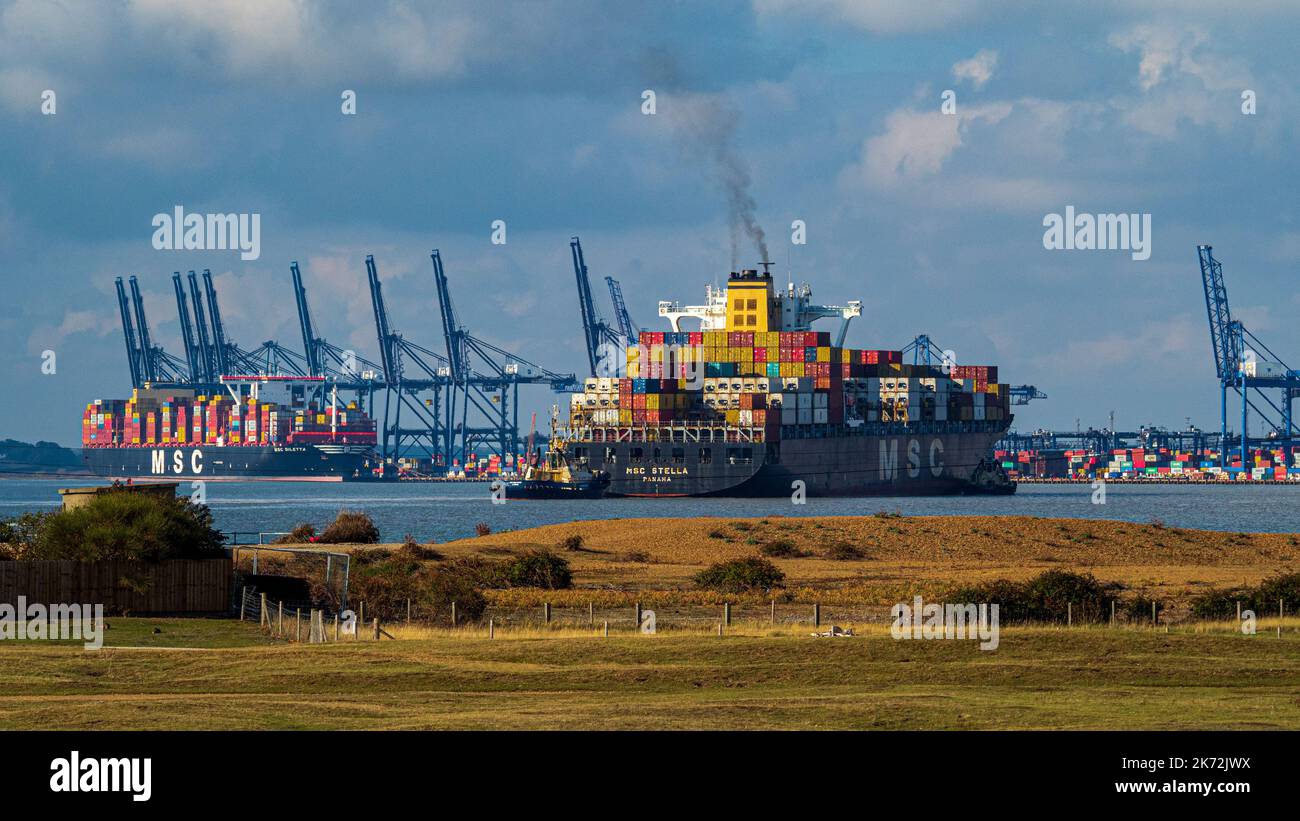 UK International Trade - UK Maritime Trade - the container ship MSC Stella arrives at Felixstowe Port UK Stock Photo