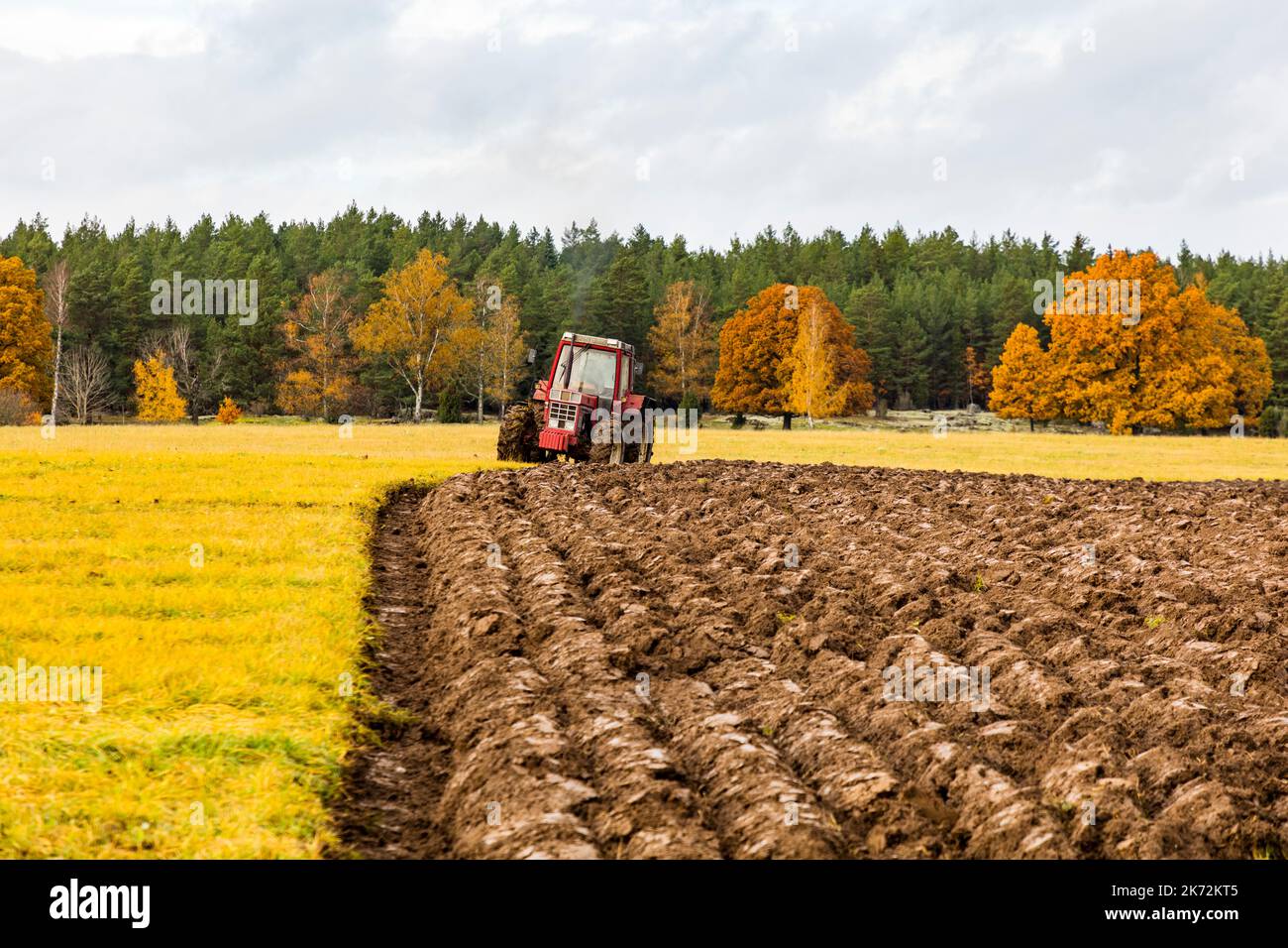 Tractor plowing field Stock Photo Alamy