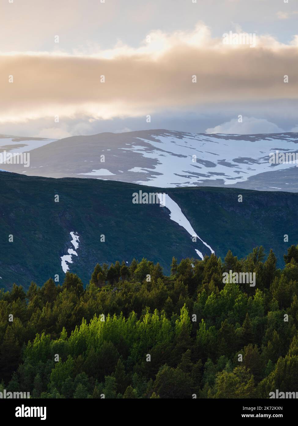 Woodland snow capped mountains hi-res stock photography and images - Alamy