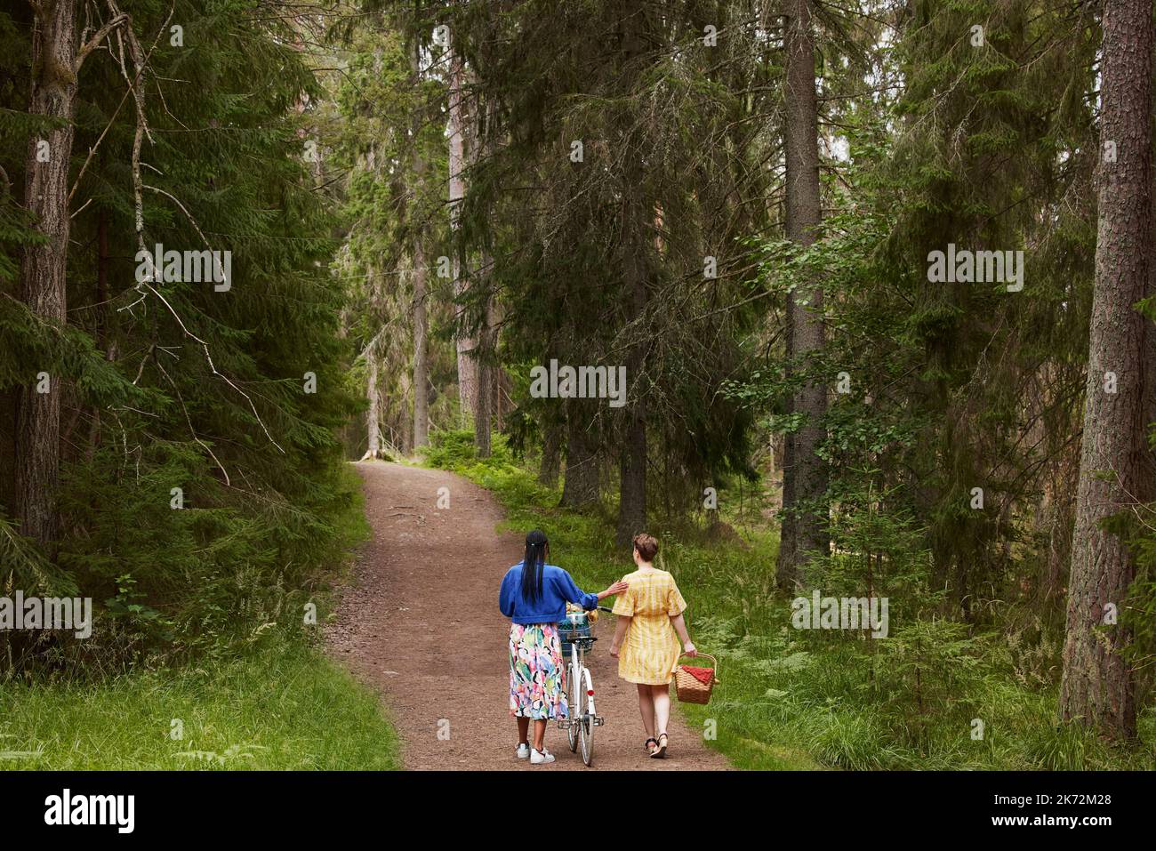 Person walking in forest close hi-res stock photography and images - Alamy