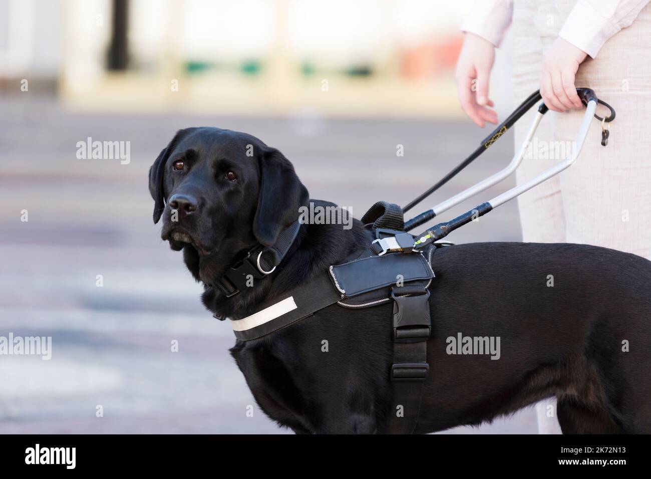 Real time assistance hi-res stock photography and images - Alamy