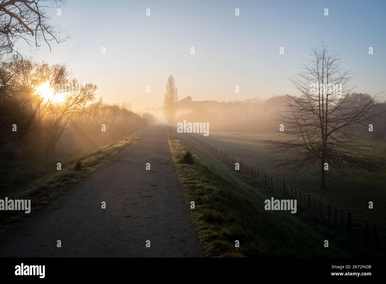 Misty morning on "Tukituki Trails" cycle track, Waipukurau, Central