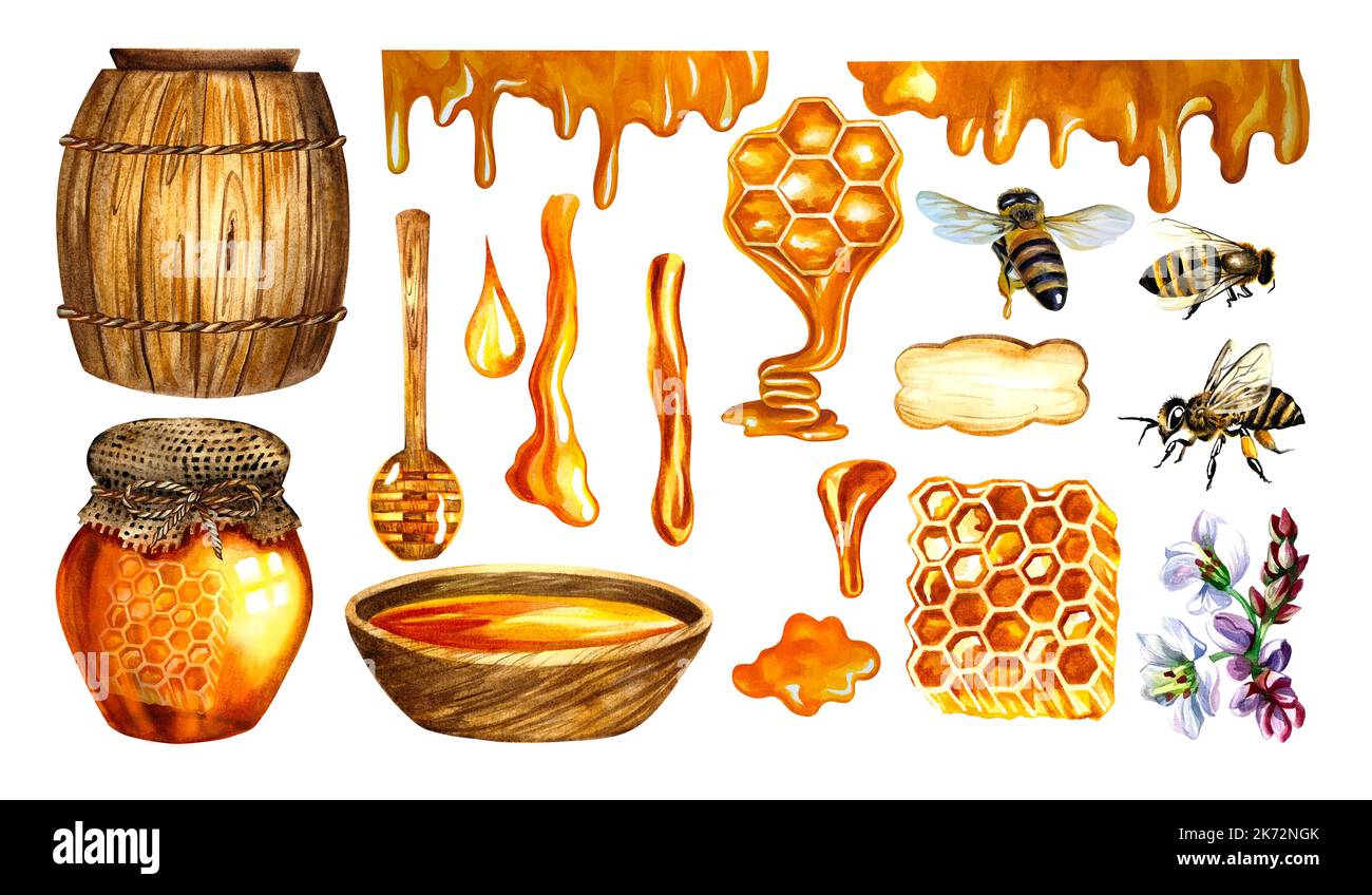 Honey set with barrel, bees, buckwheat flowers. Horizontal
