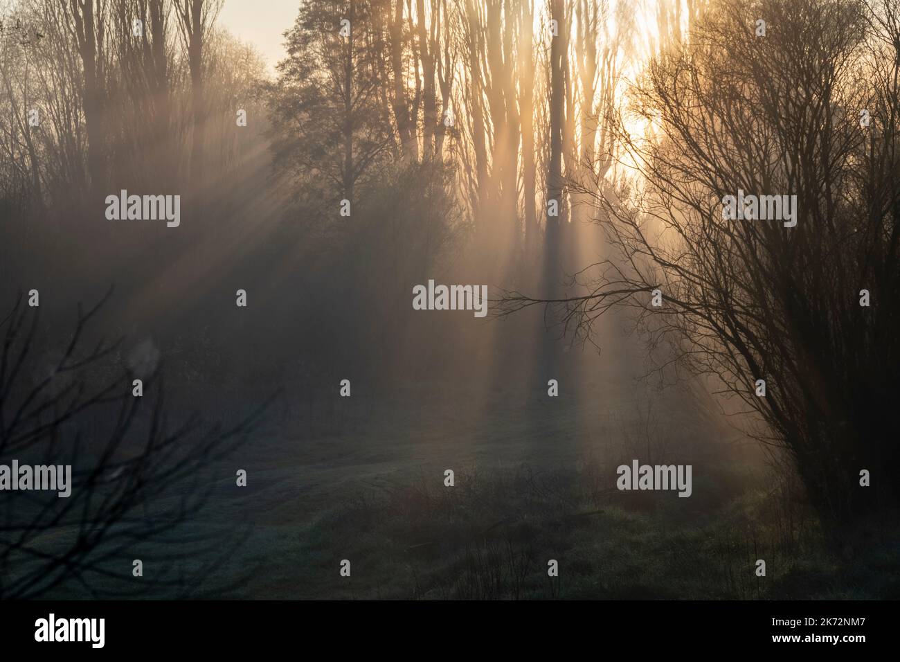 Misty morning, Waipukurau, Central Hawke's Bay, North Island, New Zealand Stock Photo Alamy